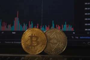 Meme Coin Market